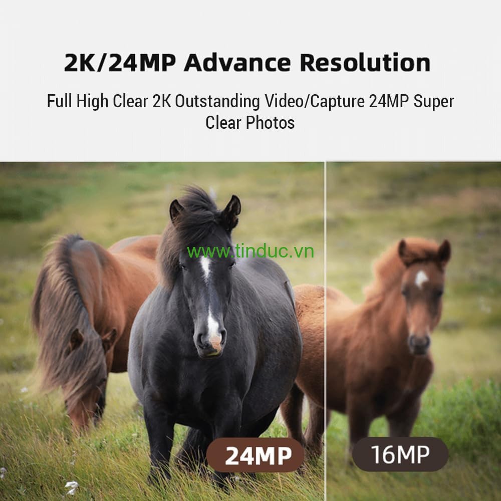 Thiết bị Camera quay, chụp gắn thị kính Terino CA-WF01 (Wifi, 24MP, Full HD, có thể gắn vào ống nhòm, kính hiển vi, kính thiên văn) - Hàng chính hãng
