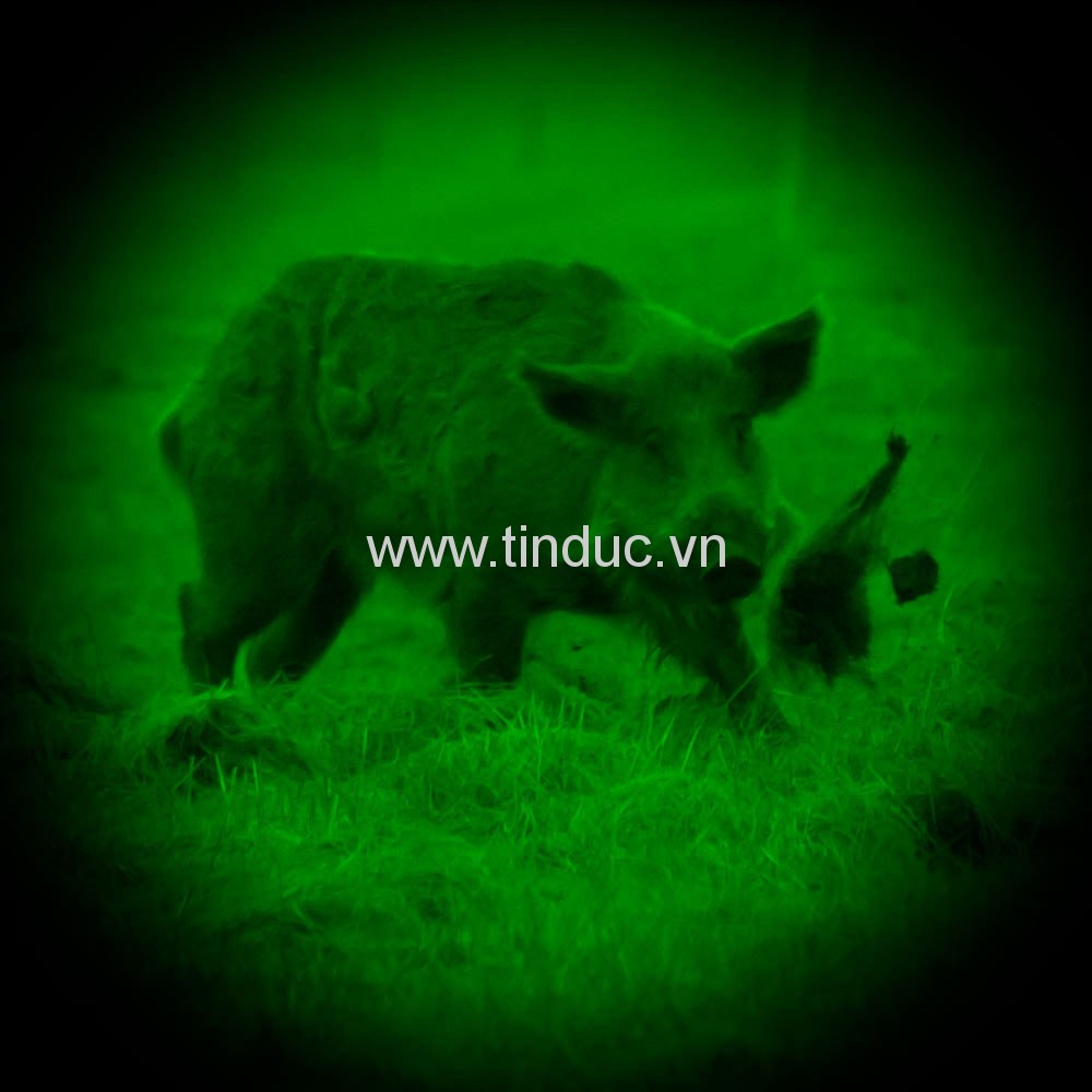 Ống nhòm nhìn đêm NV 4x50 (S/x tại Nga/Belarus)