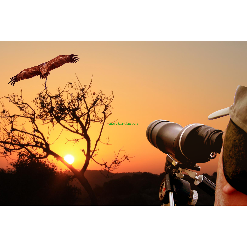 Ống nhòm một mắt