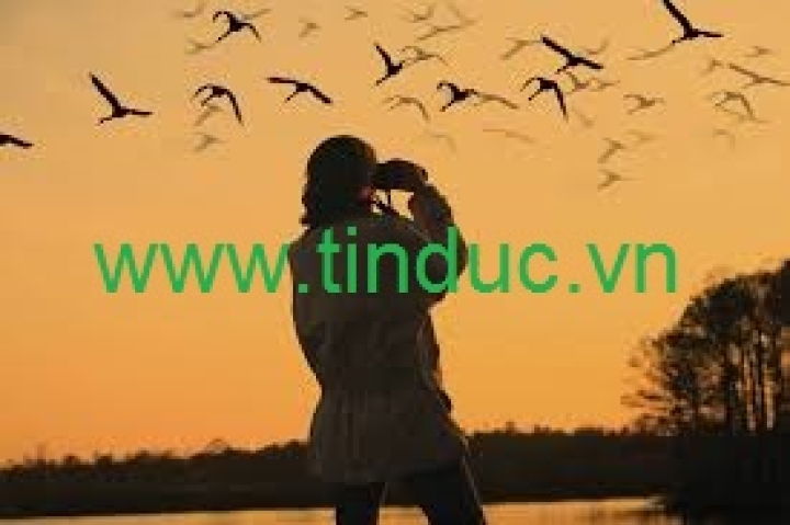 Hướng dẫn chọn ống nhòm ngắm chim